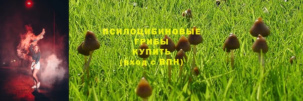 PSILOCYBIN Алексеевка