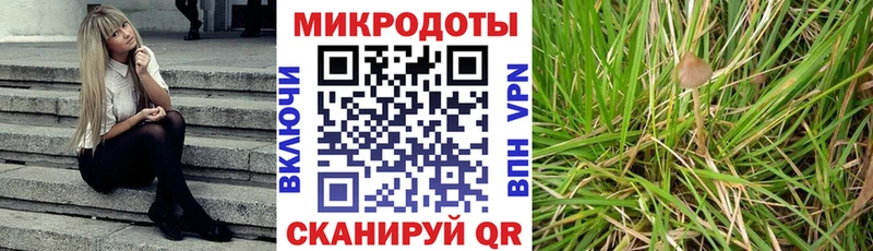 Галлюциногенные грибы GOLDEN TEACHER  Краснознаменск 